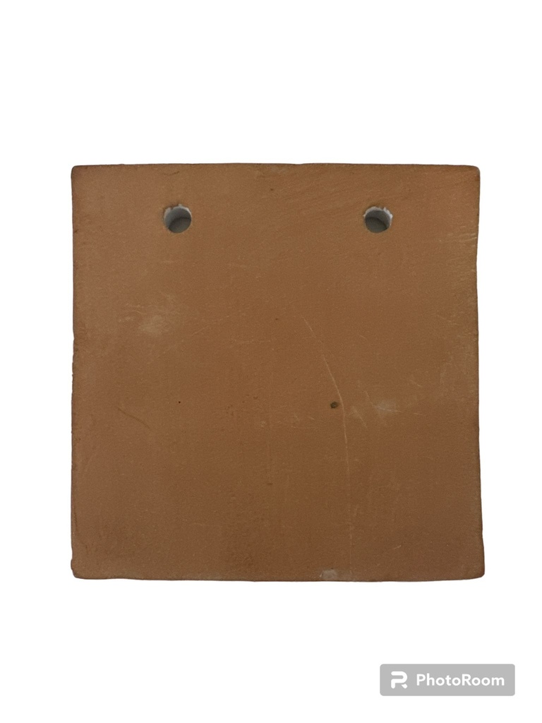 Piastrella 2 Fori 10cm