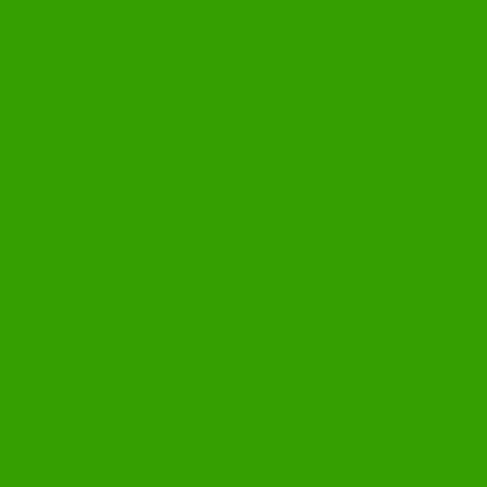 574 VERDE FOGLIA
