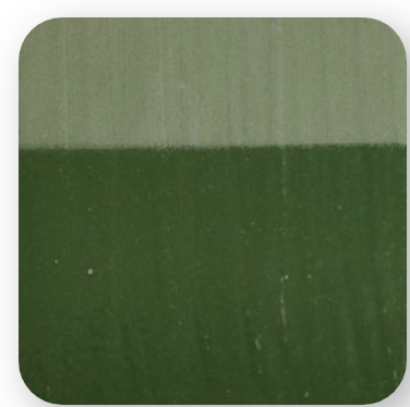 INGOBBIO VERDE