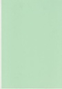 318/9 VERDE PASTELLO