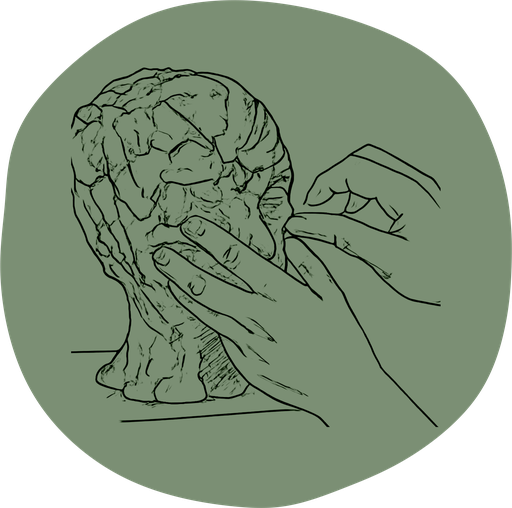 Abbonamento All you can clay