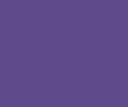 527/1 VIOLA